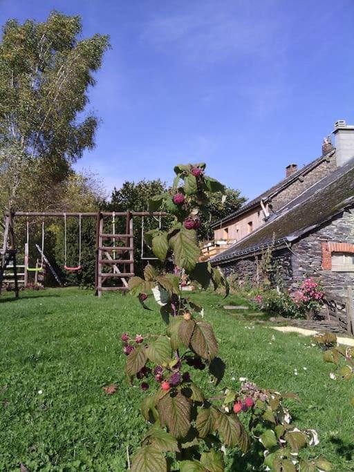 Gite Les 7 Frenes Vaux-sur-Sure Экстерьер фото