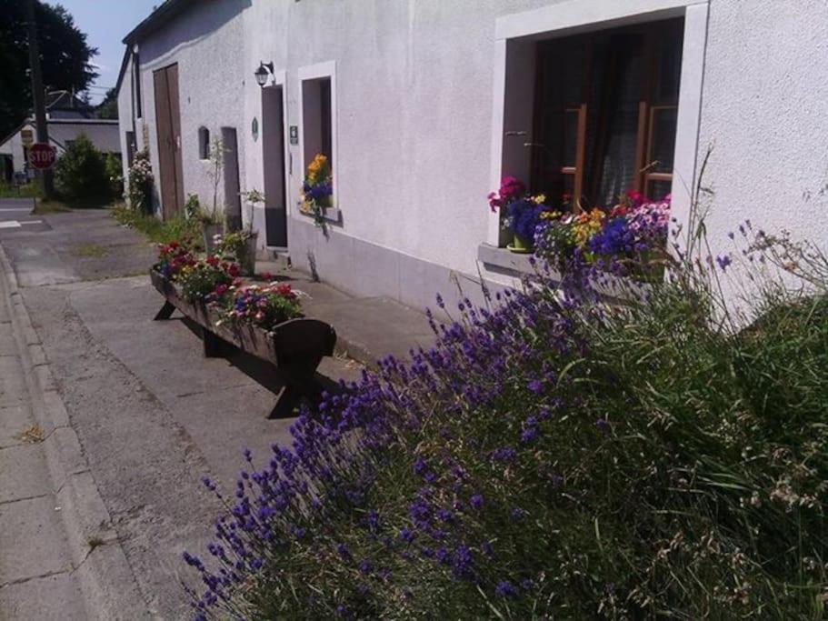 Gite Les 7 Frenes Vaux-sur-Sure Экстерьер фото